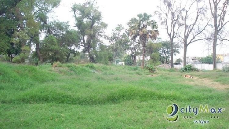 TERRENO PARA DESARROLLO COMERCIAL O RESIDENCIAL EN VENTA EN AMATITLAN - foto 1