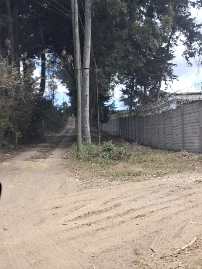 Terreno Rustico en Venta Solares del Trigal Sumpango - foto 4