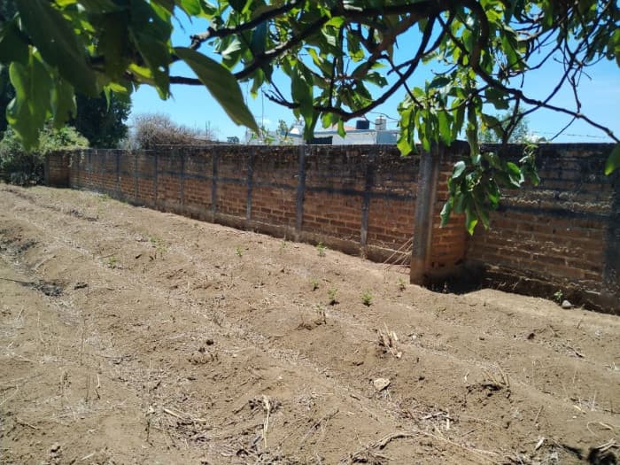 TERRENO EN VENTA EN CHIMALTENANGO - foto 2