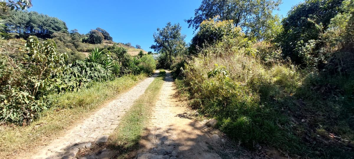 TERRENO CON VISTAS EN EL HATO - foto 2