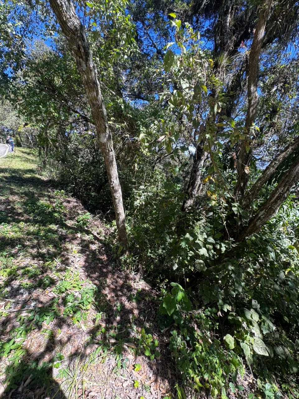 Terreno Residencial en Venta en Zona 1, Mixco, Guatemala - foto 2