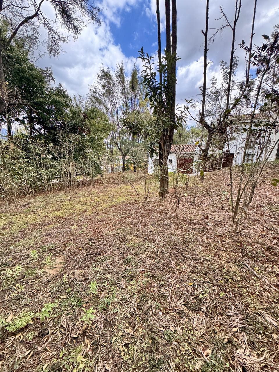 Terreno en venta en Antigua Gardens - foto 2