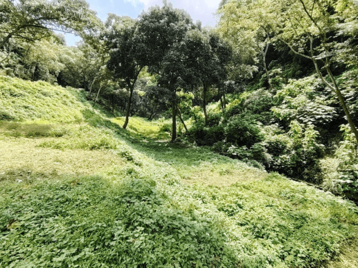 Amplio terreno en venta  Santa Ana, Antigua Guatemala - foto 4