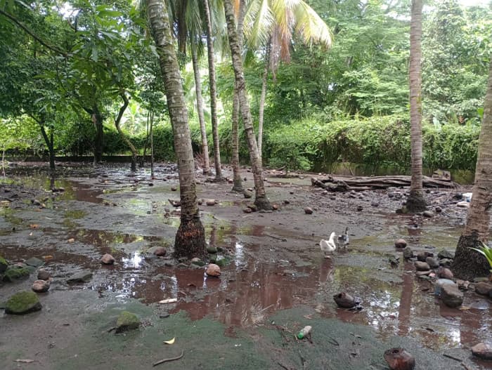 Terreno en venta en Quintas del Campo, Escuintla,  - foto 2