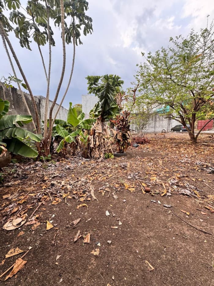 Terreno en venta en cañadas de buena vista Escuintla - foto 4