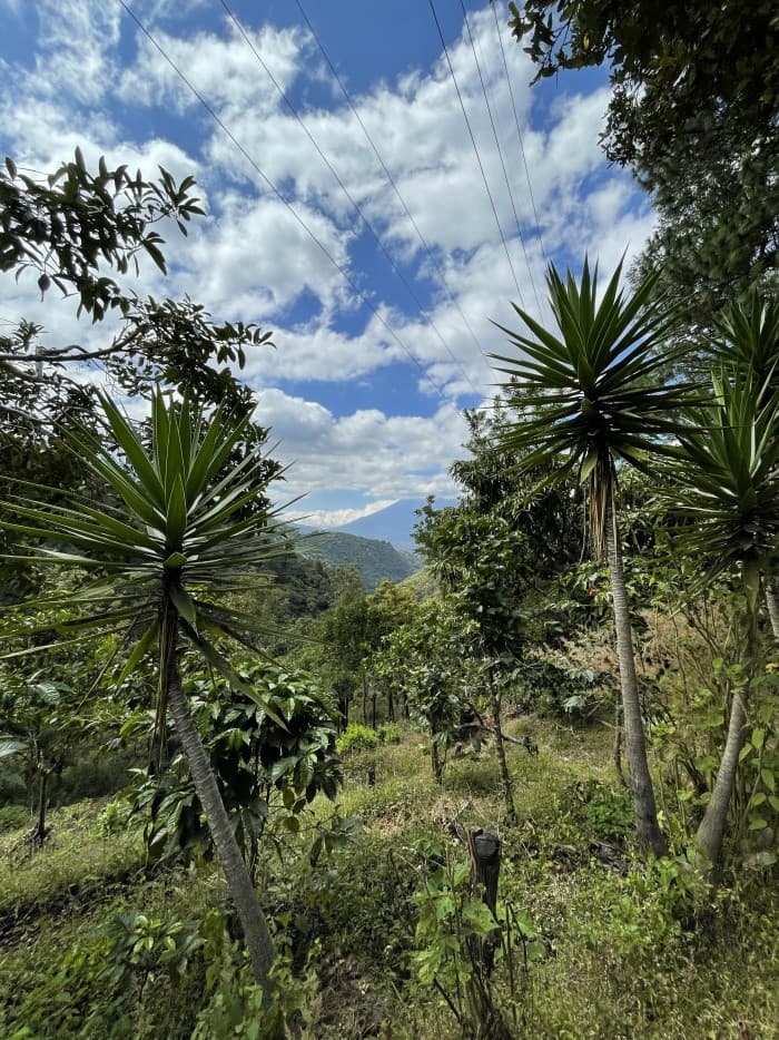 GANGA! FINCA de 19 MANZANAS en Milpas Altas  - foto 3