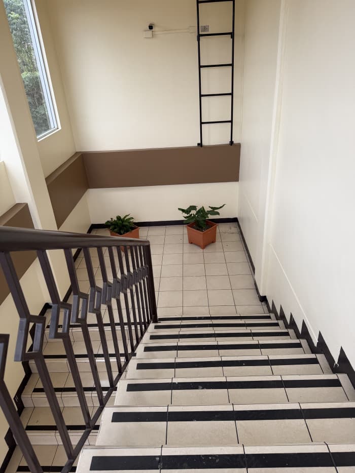 SE RENTA LOCAL COMERCIAL EN SAN LUCAS SAC - foto 3
