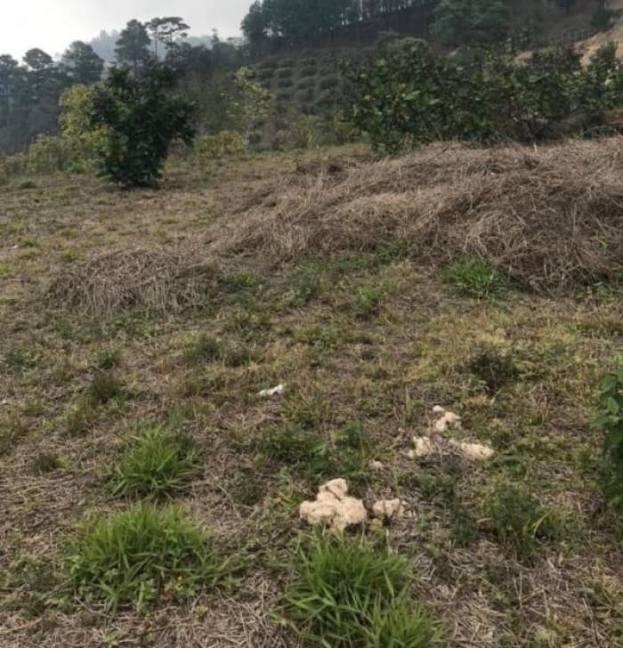 Venta de terreno dentro Residencial Cuilapa Santa Rosa - foto 2