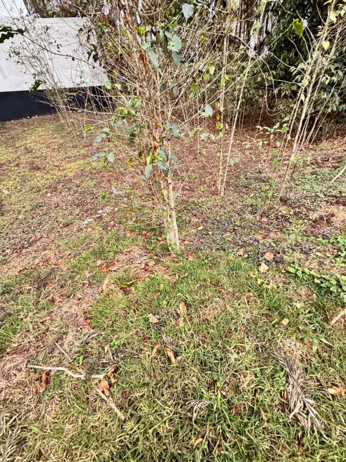 Terreno en venta en Antigua Gardens - foto 3