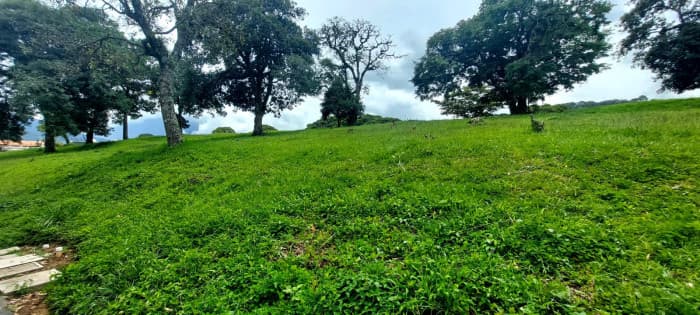 Exclusivo terrenos en venta en San Mateo  - foto 4