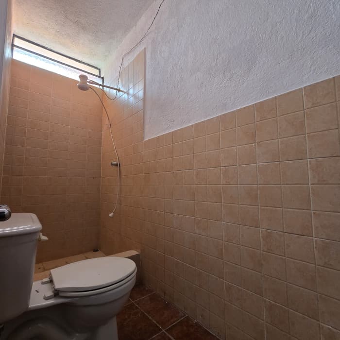 citymax antigua vende propiedad en san pedro las huerta - foto 3