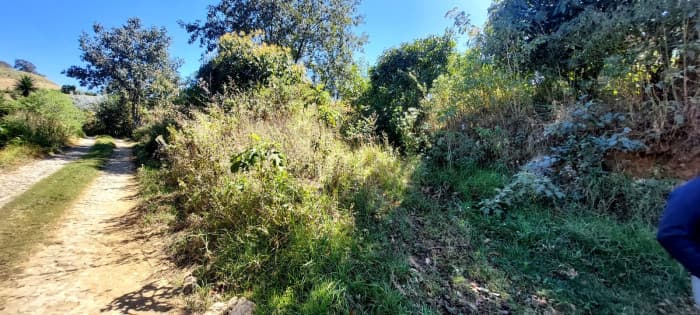 TERRENO CON VISTAS EN EL HATO - foto 3