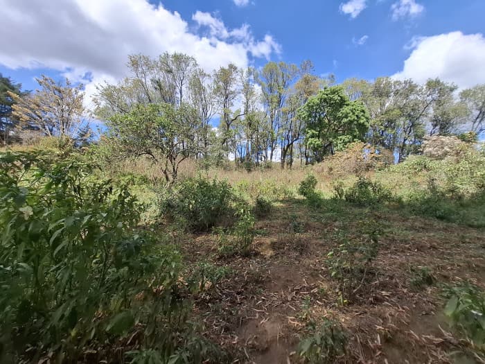Terreno Rustico en Venta Solares del Trigal Sumpango - foto 2