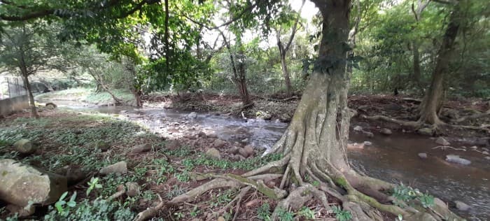 Terreno vacacional en venta Villas Club Rio Sul  - foto 4