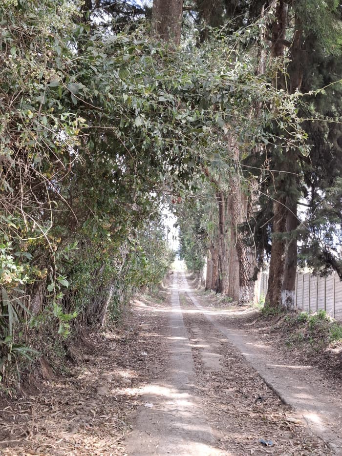 Terreno rustico en Venta Solares del Trigal Sumpango - foto 3
