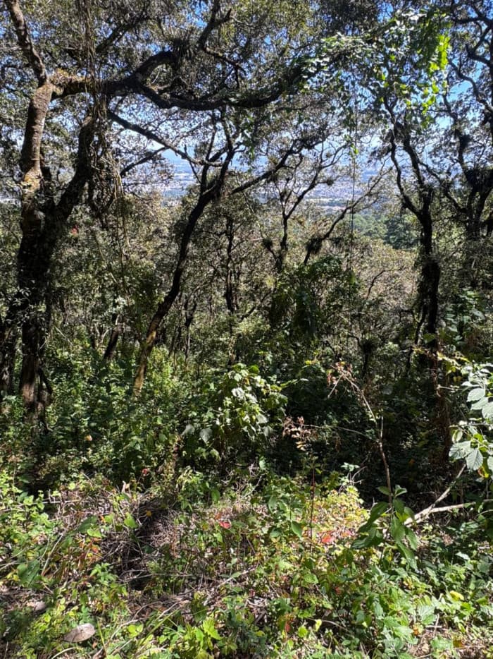 Terreno Residencial en Venta en Zona 1, Mixco, Guatemala - foto 3