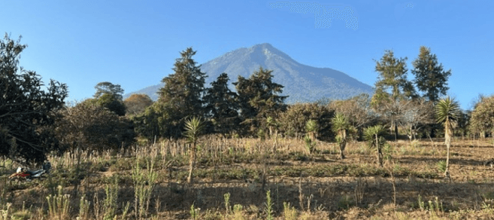 Oportunidad de inversión Proyecto exclusivo en Antigua - foto 3