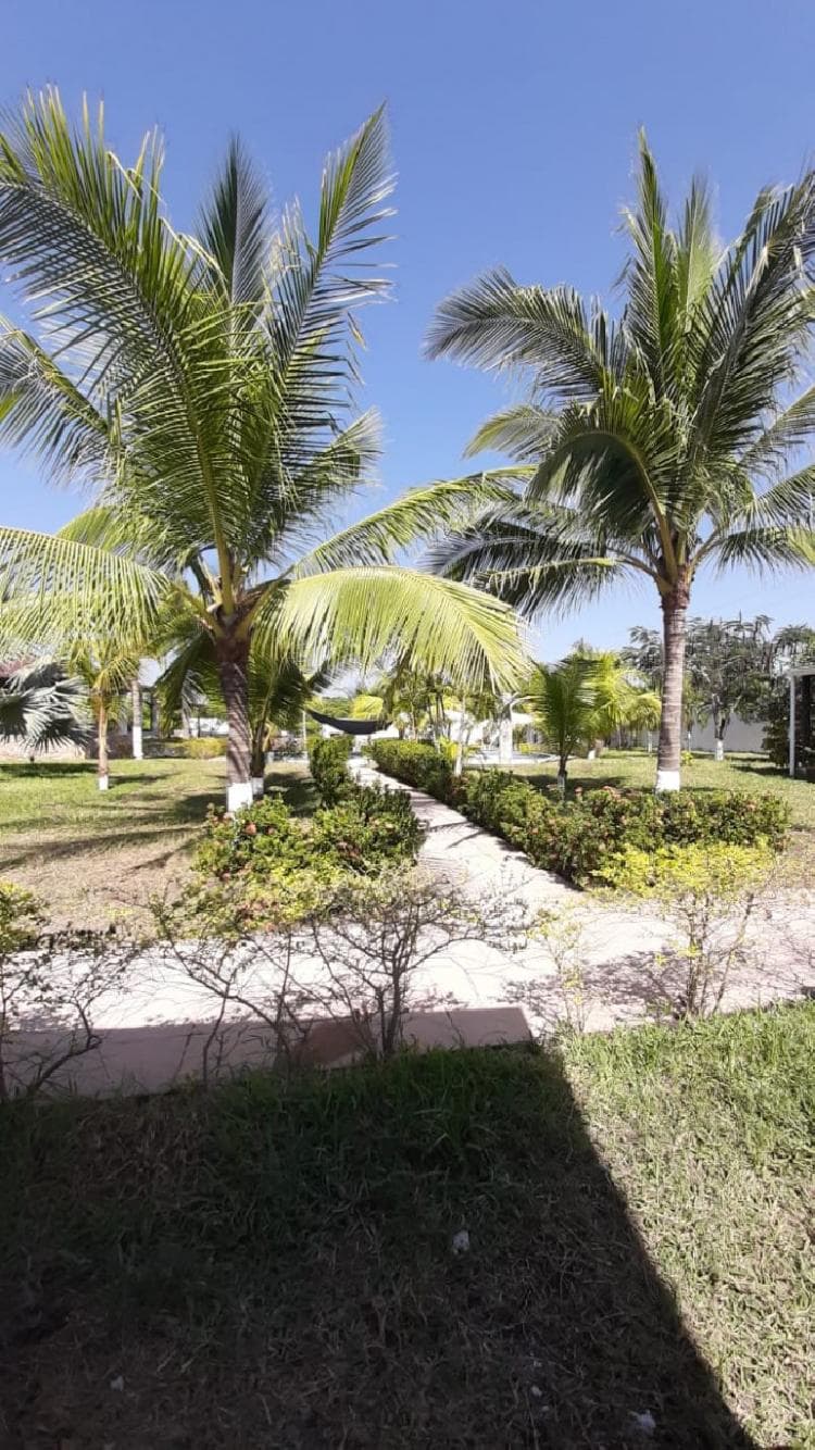 CITYMAX ANTIGUA RENTA CASA EN PUERTO ITZAPA ESCUINTLA  - foto 4