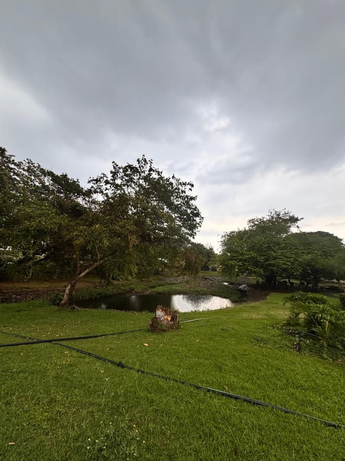 En venta terreno residencial Pacific Gardens, Escuintla - foto 4