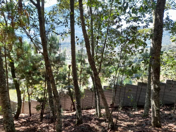 Oportunidad Propiedad En Venta Carretera a Yepocapa - foto 3