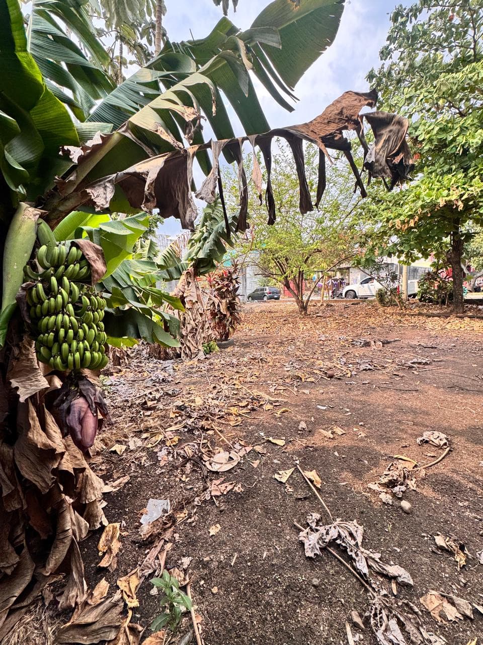Terreno en venta en cañadas de buena vista Escuintla - foto 1