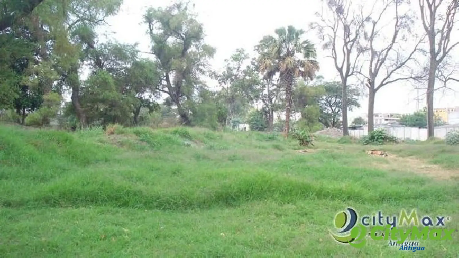 TERRENO PARA DESARROLLO COMERCIAL O RESIDENCIAL EN VENTA EN AMATITLAN - foto 1