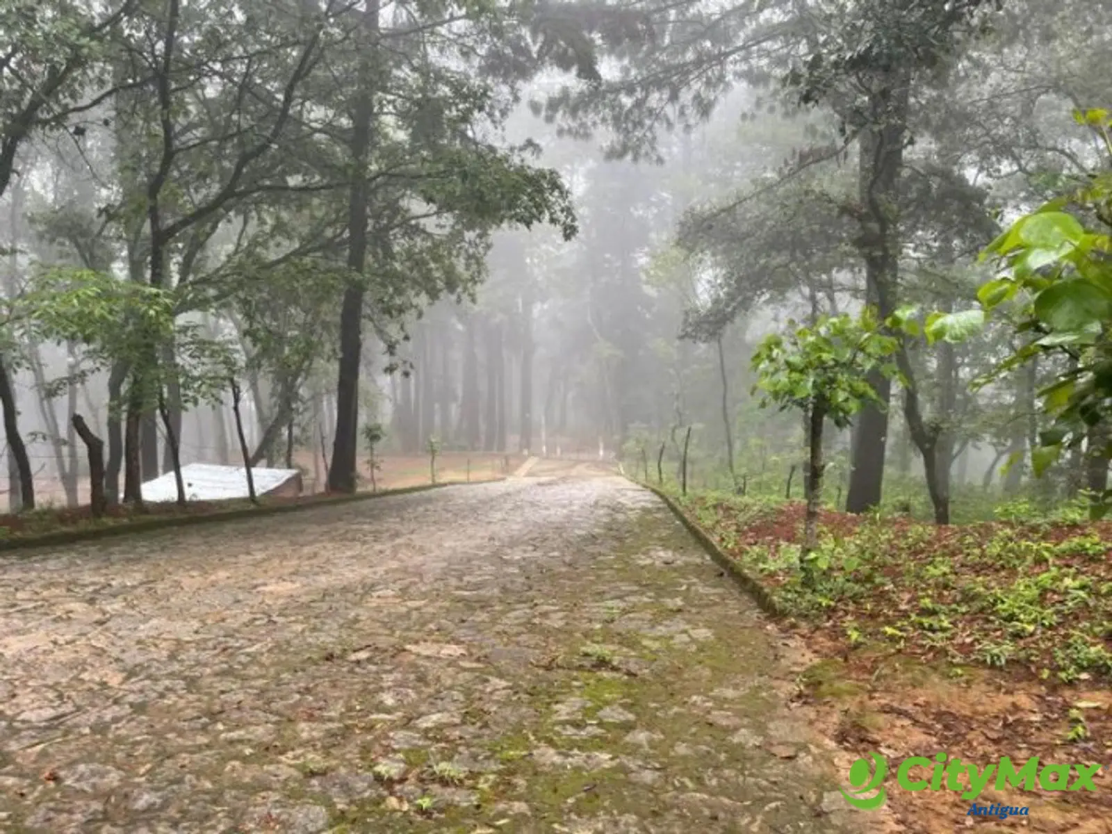 Venta de terreno en San Lucas Sac! - se vende bello terreno en Choacorral
