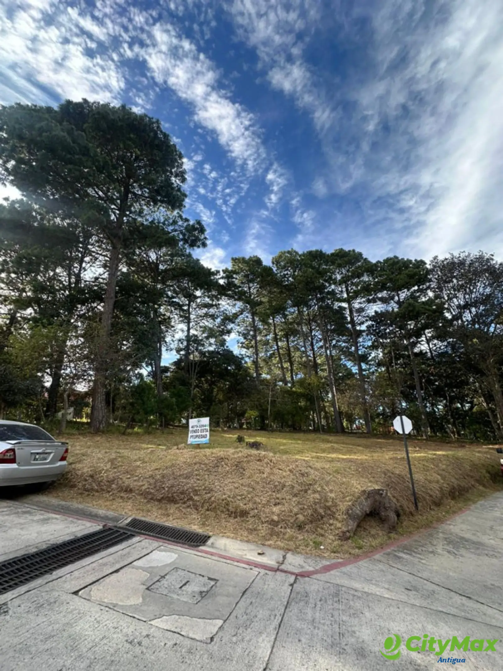 VENTA TERRENO EN AREA RESIDENCIAL SAN LUCAS/SANTIAGO - foto 1