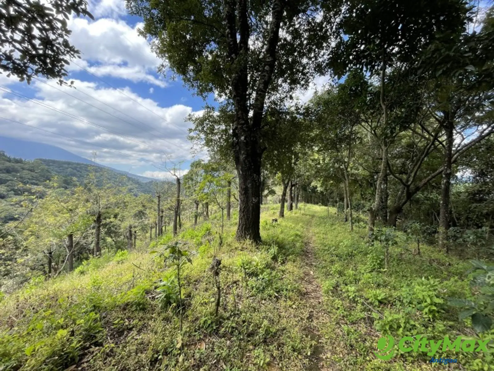 GANGA! FINCA de 19 MANZANAS en Milpas Altas  - finca en Santo Tomas Milpas Altas