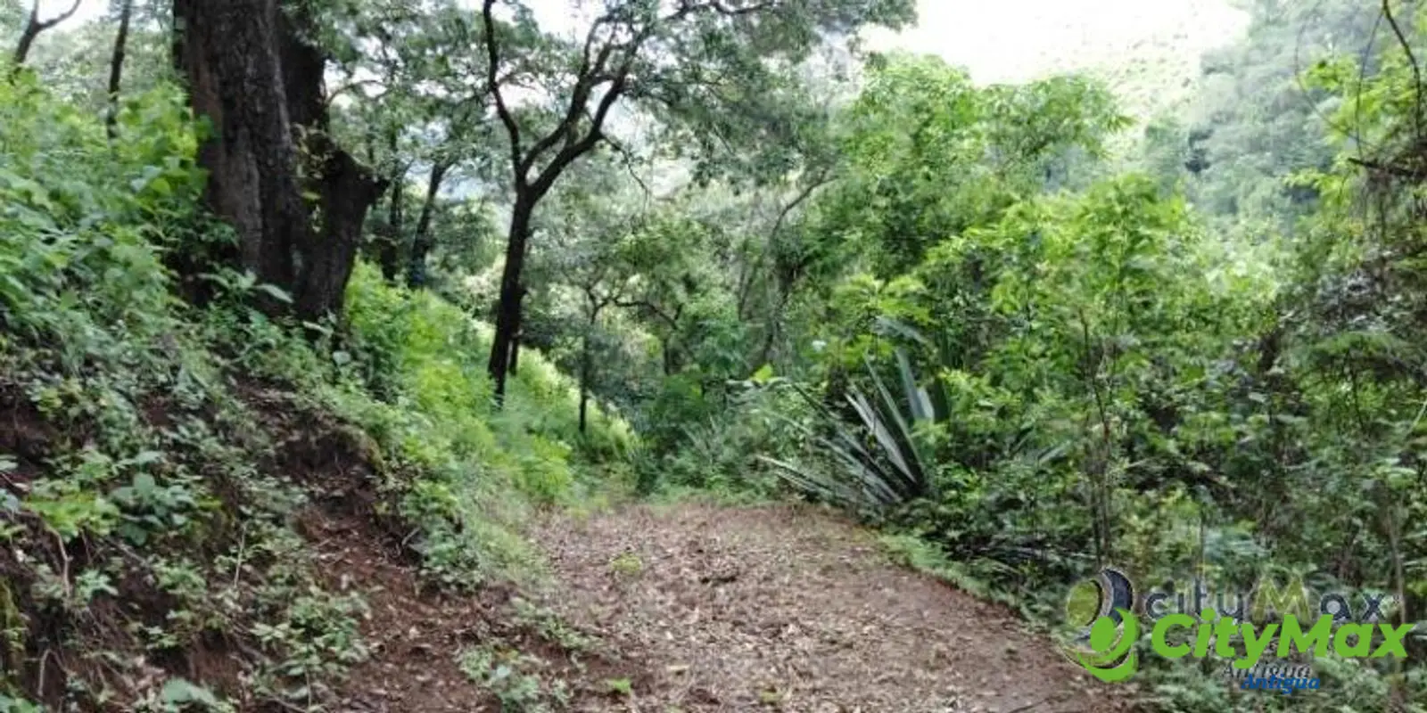 GANGA! FINCA de 19 MANZANAS en Milpas Altas - foto 5