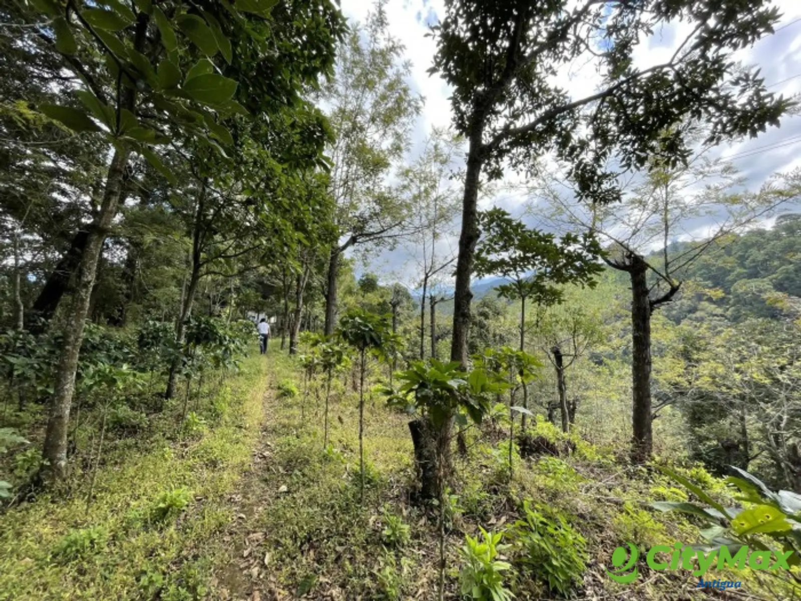 GANGA! FINCA de 19 MANZANAS en Milpas Altas  - foto 4