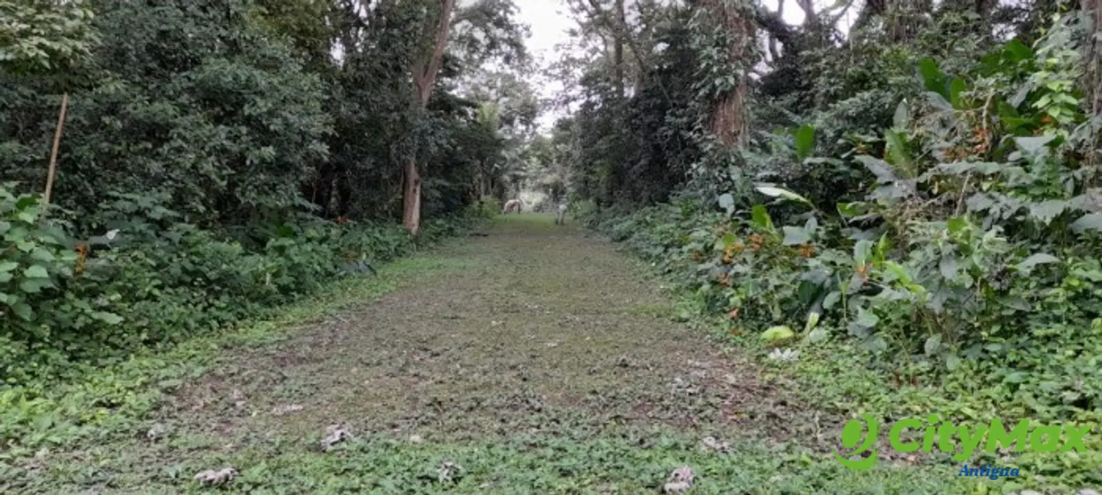 Terreno vacacional en venta Villas Club Rio Sul  - foto 11