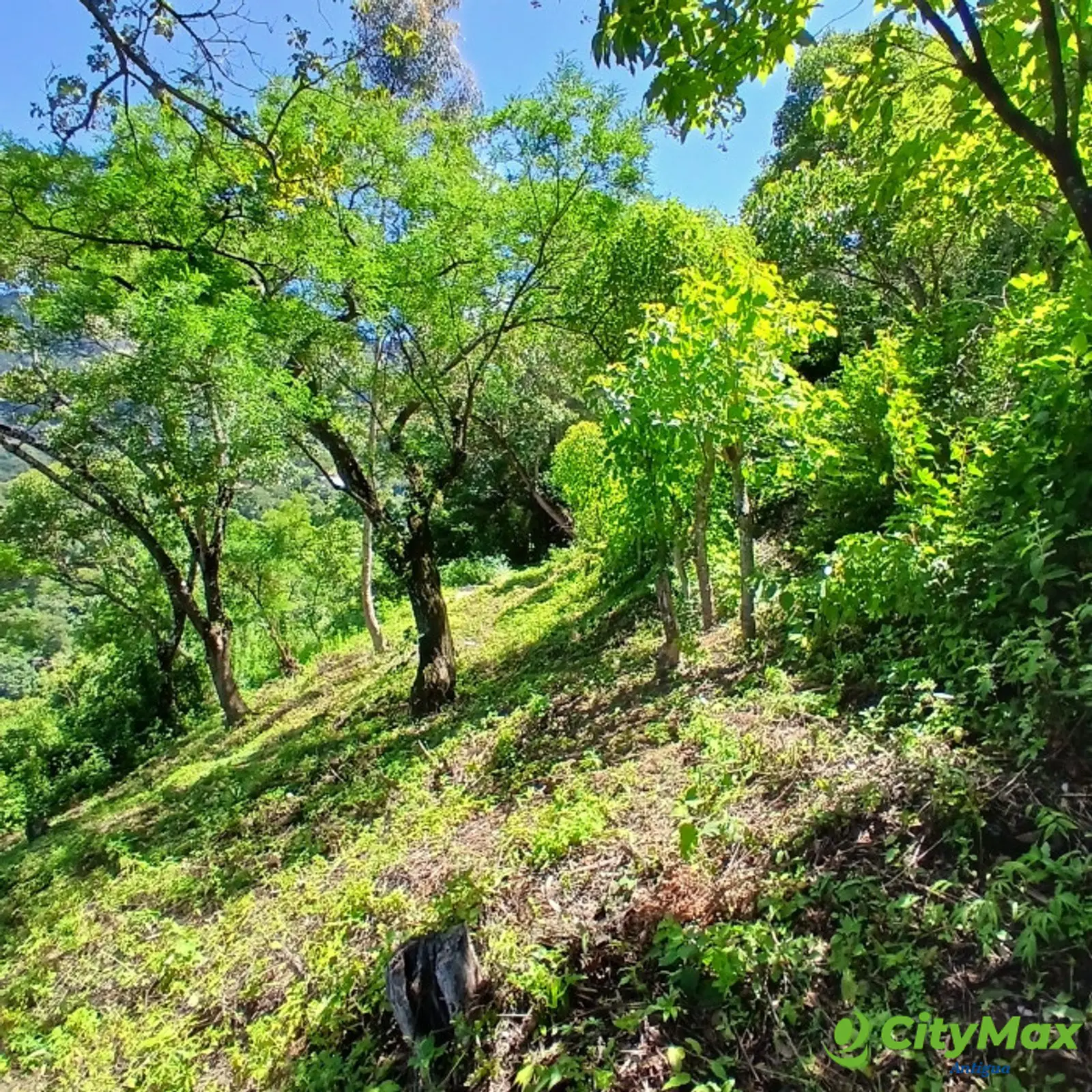 Amplio Terreno rustico en Venta, Sta Lucia Milpas Altas - foto 7