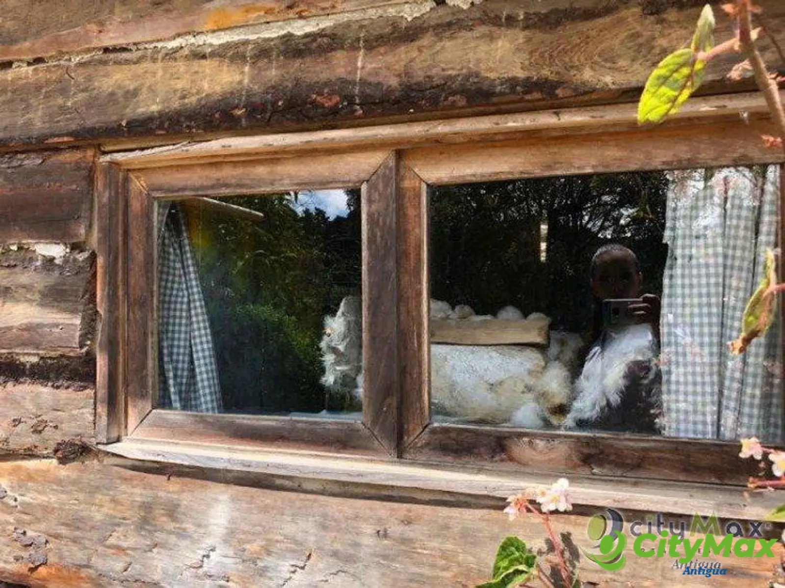 En venta Granja en La Cumbre, San Pedro Sacatepéquez - foto 15