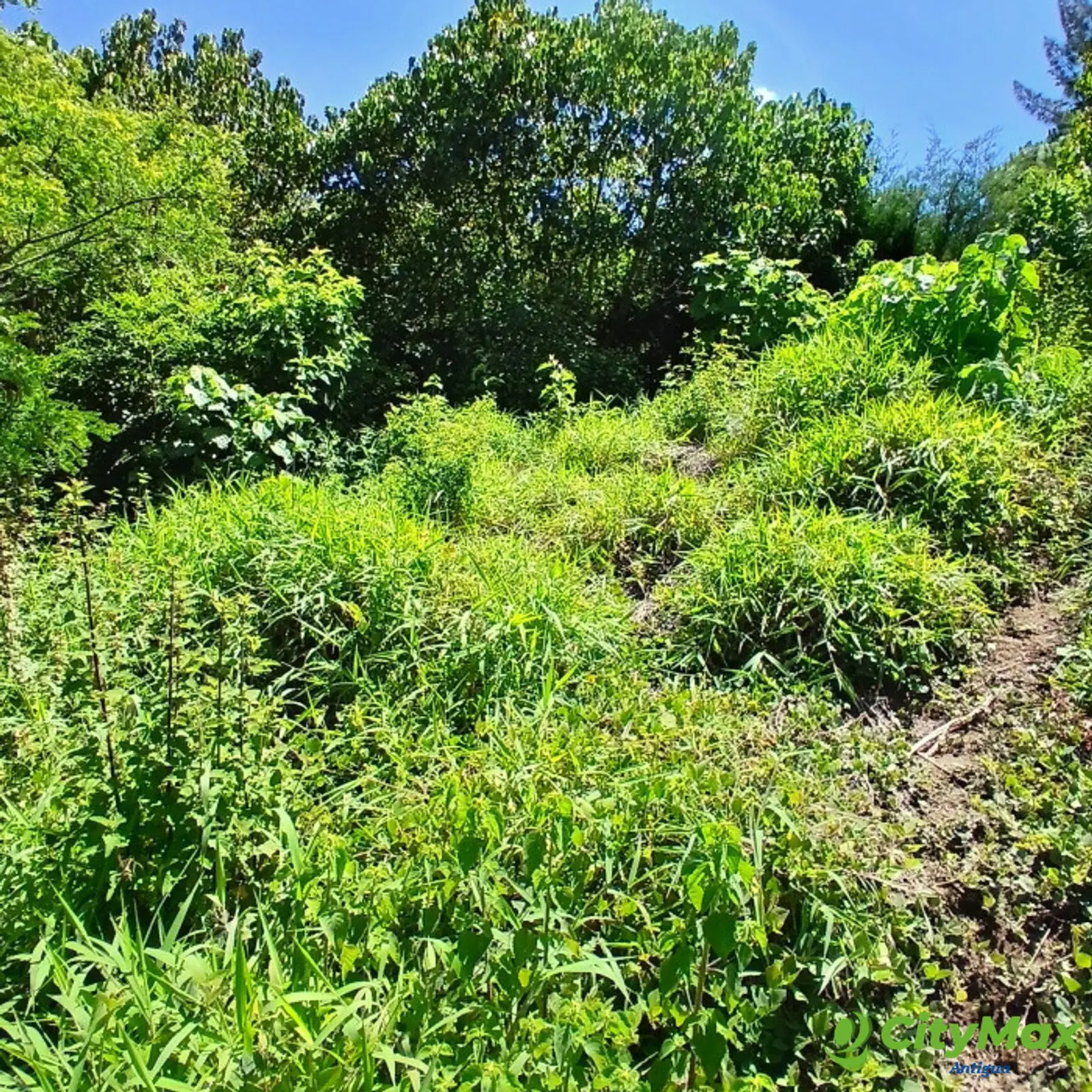 Amplio Terreno rustico en Venta, Sta Lucia Milpas Altas - foto 6