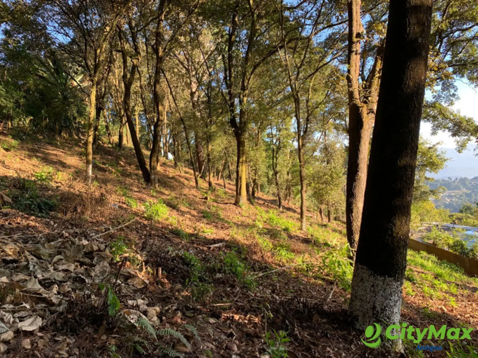 se vende terreno de mas de 1/2 manzana en Choacorral - foto 6