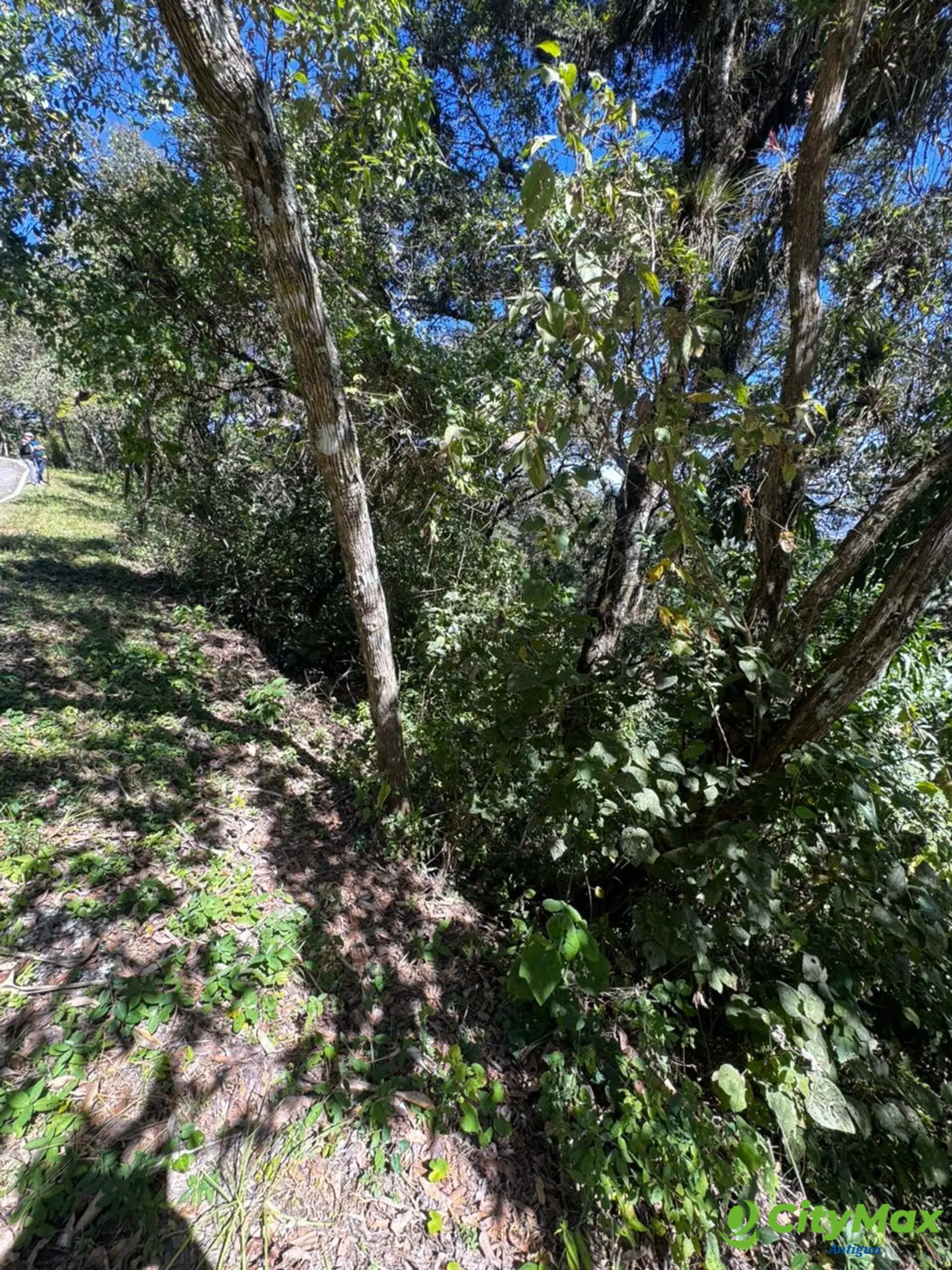 Terreno Residencial en Venta en Zona 1, Mixco, Guatemala - Citymax Antigua vende terreno en el Encinal