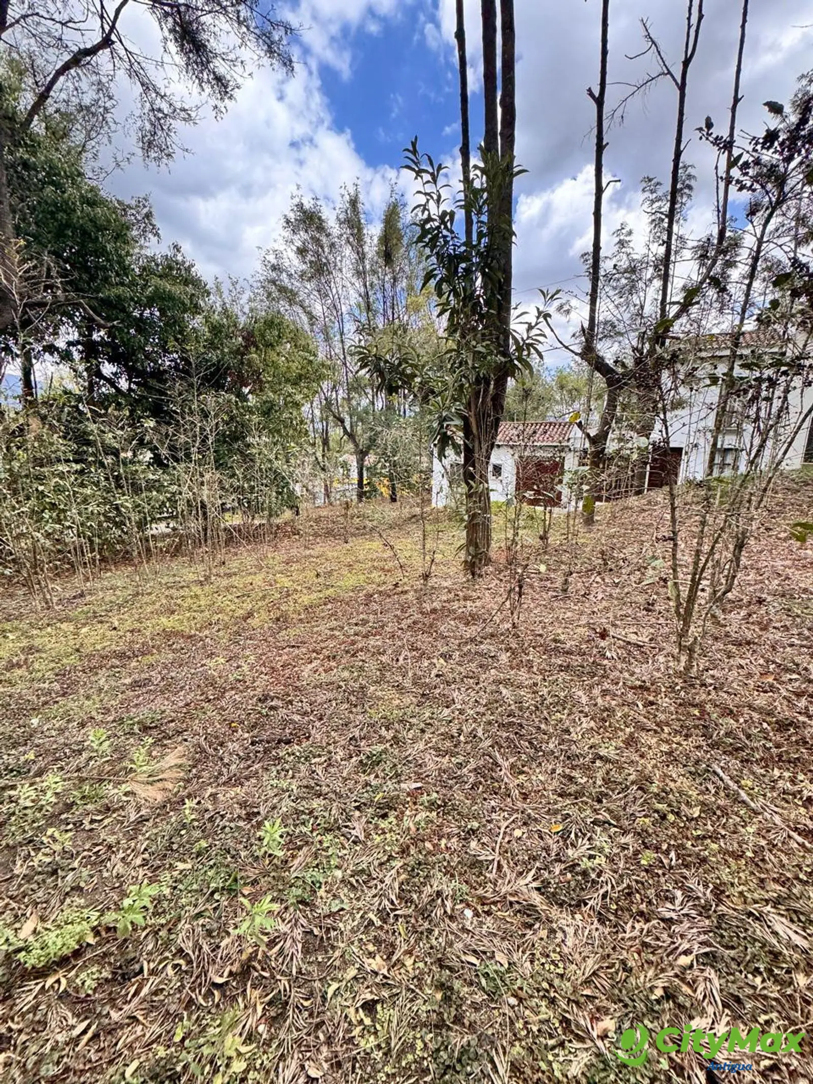 Terreno en venta en Antigua Gardens - foto 2