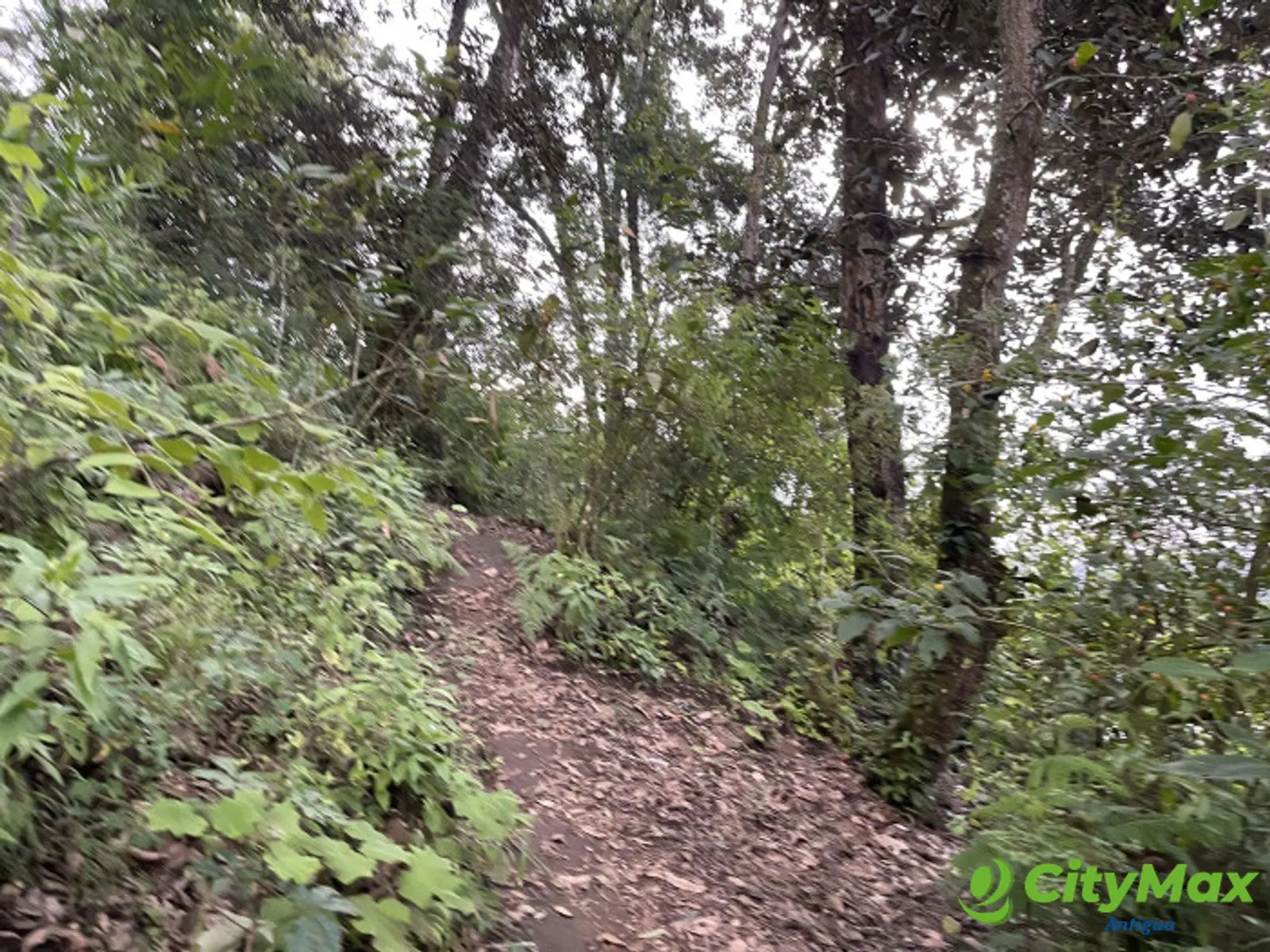 Terreno en venta en Aldea Chichorin San Lucas - foto 15