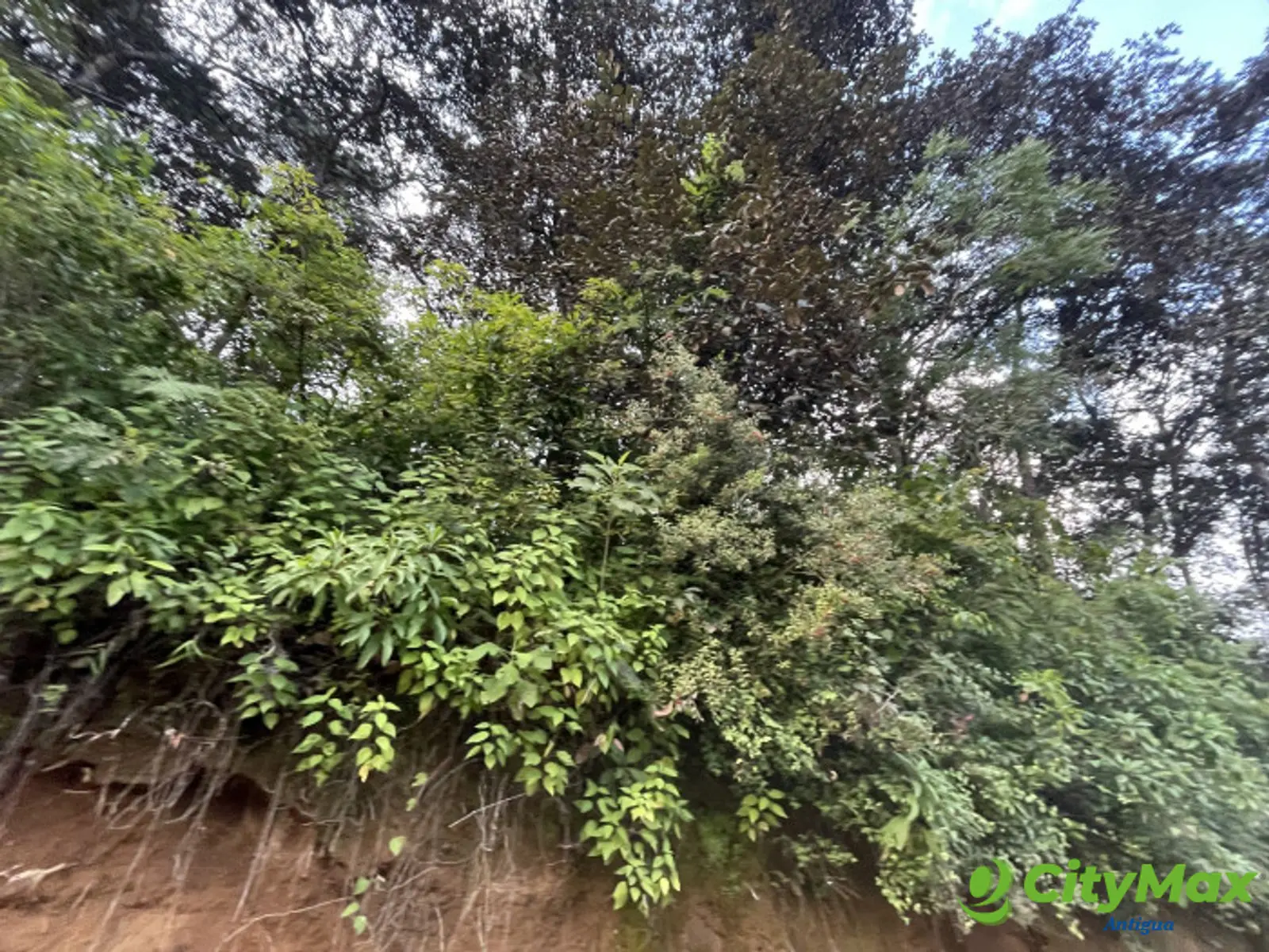 Terreno en venta en Aldea Chichorin San Lucas - foto 11
