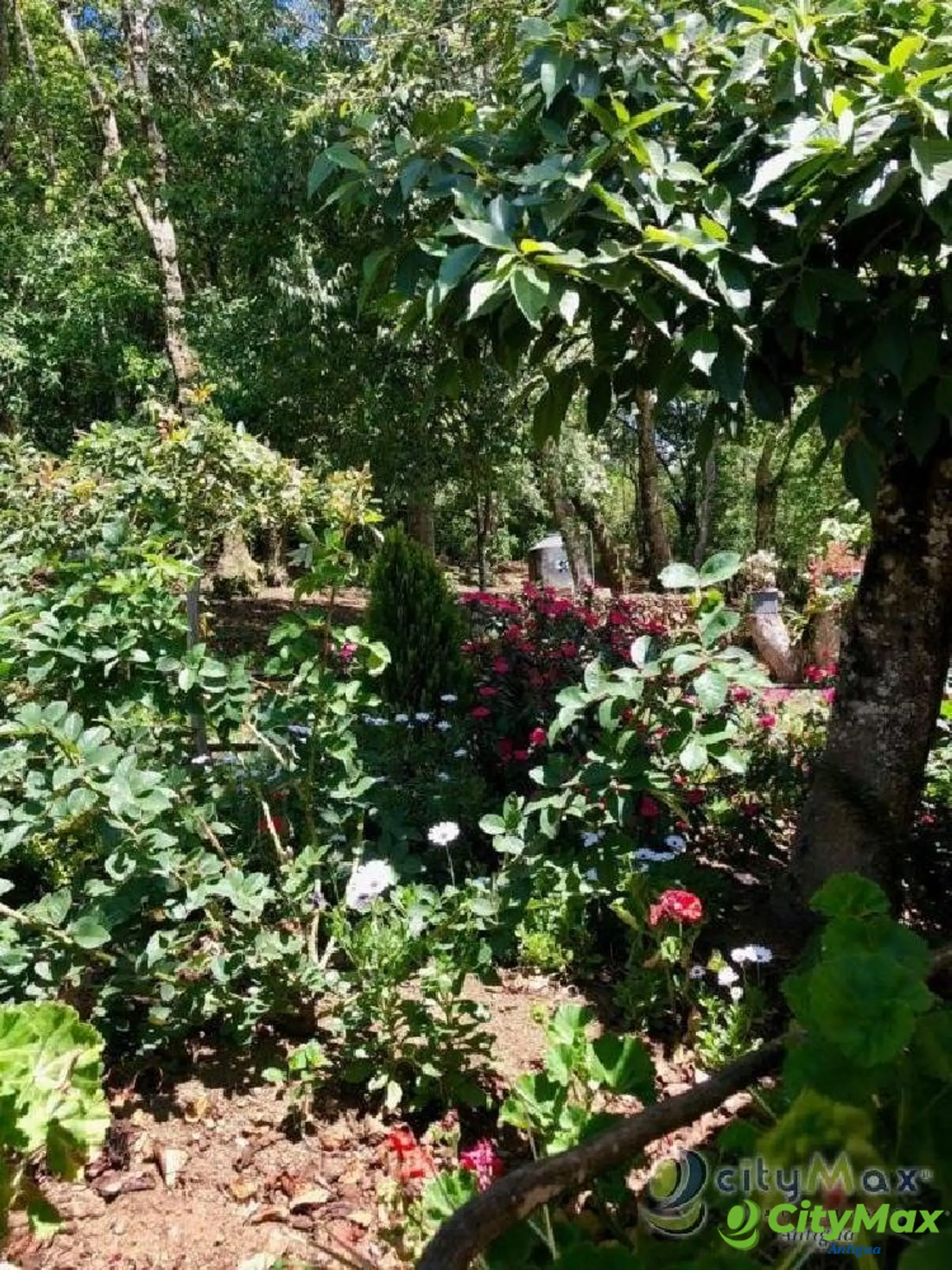 En venta Granja en La Cumbre, San Pedro Sacatepéquez - foto 19