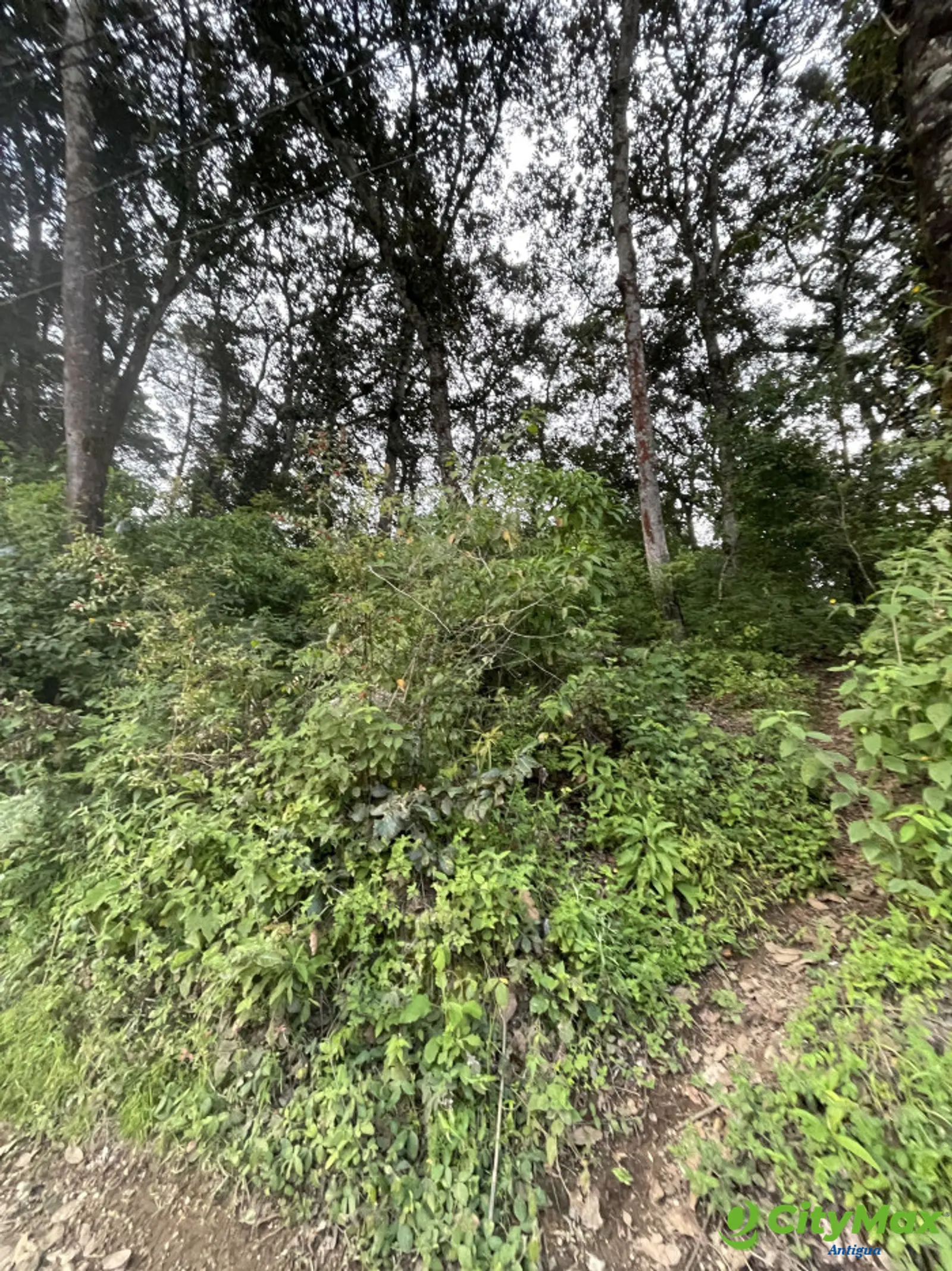Terreno en venta en Aldea Chichorin San Lucas - foto 10