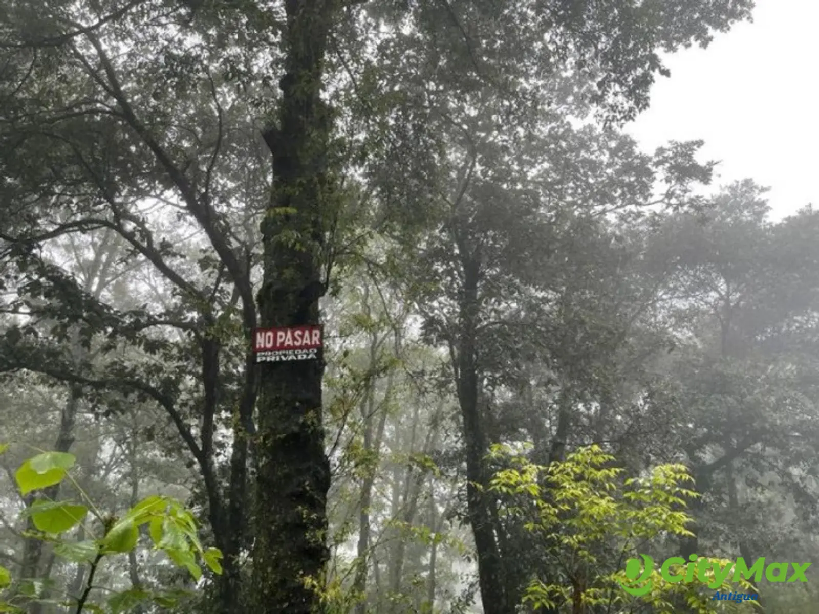 Venta de terreno en San Lucas Sac! - foto 3