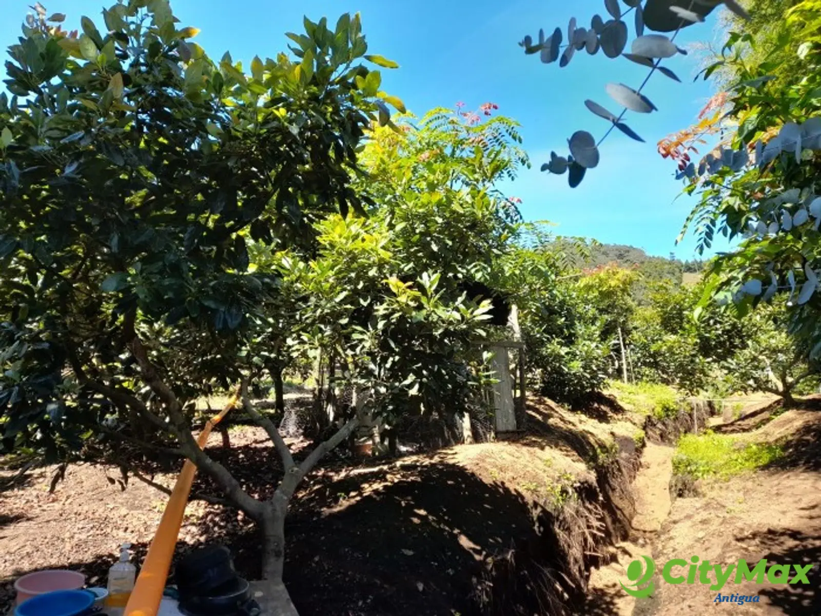 Oportunidad Propiedad En Venta Carretera a Yepocapa - foto 11