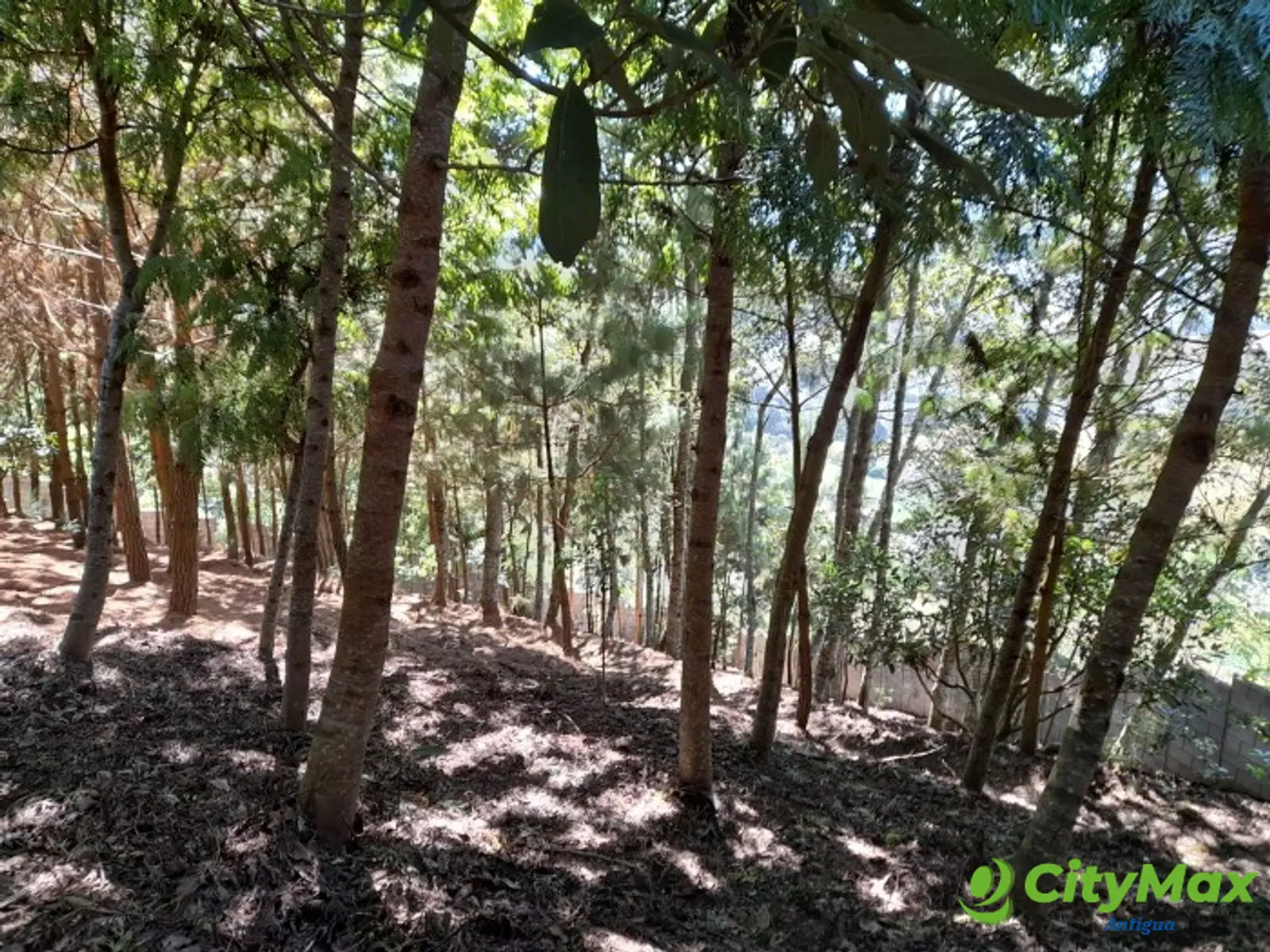 Oportunidad Propiedad En Venta Carretera a Yepocapa - foto 6