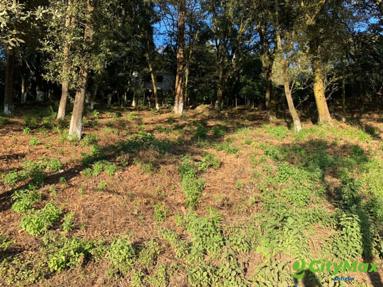 se vende terreno de mas de 1/2 manzana en Choacorral - foto 4