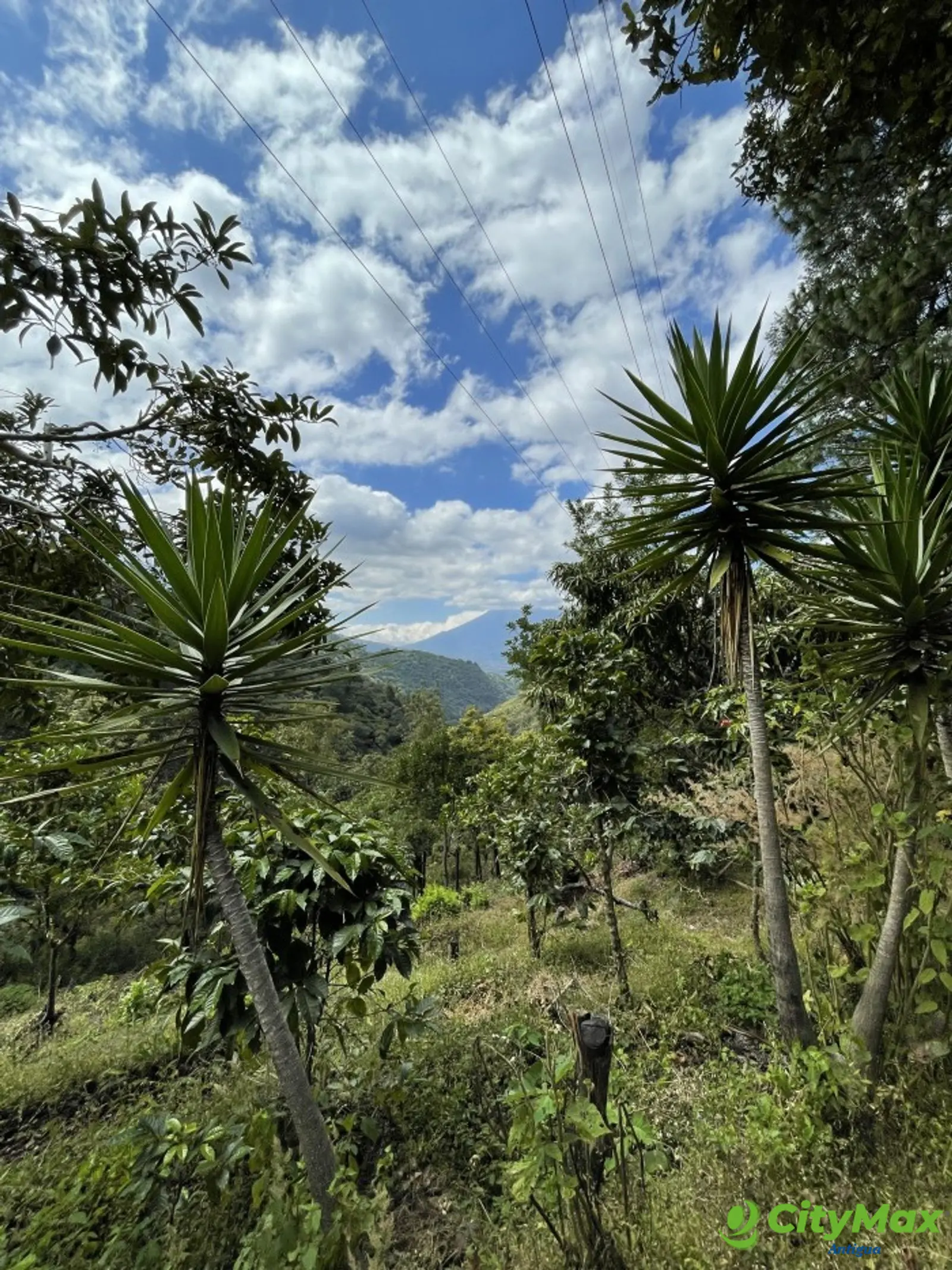 GANGA! FINCA de 19 MANZANAS en Milpas Altas  - foto 3