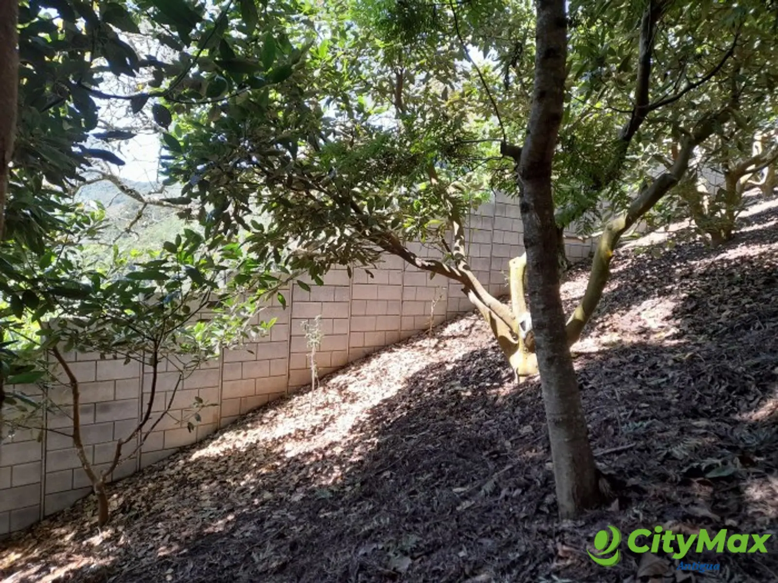 Oportunidad Propiedad En Venta Carretera a Yepocapa - foto 4
