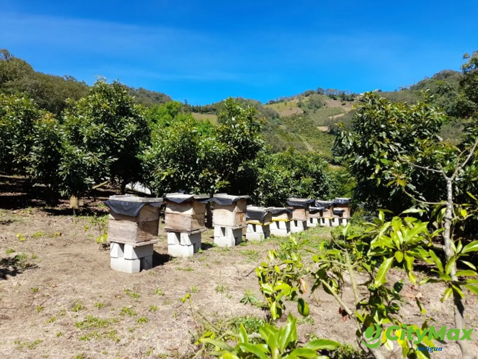 Oportunidad Propiedad En Venta Carretera a Yepocapa - foto 2