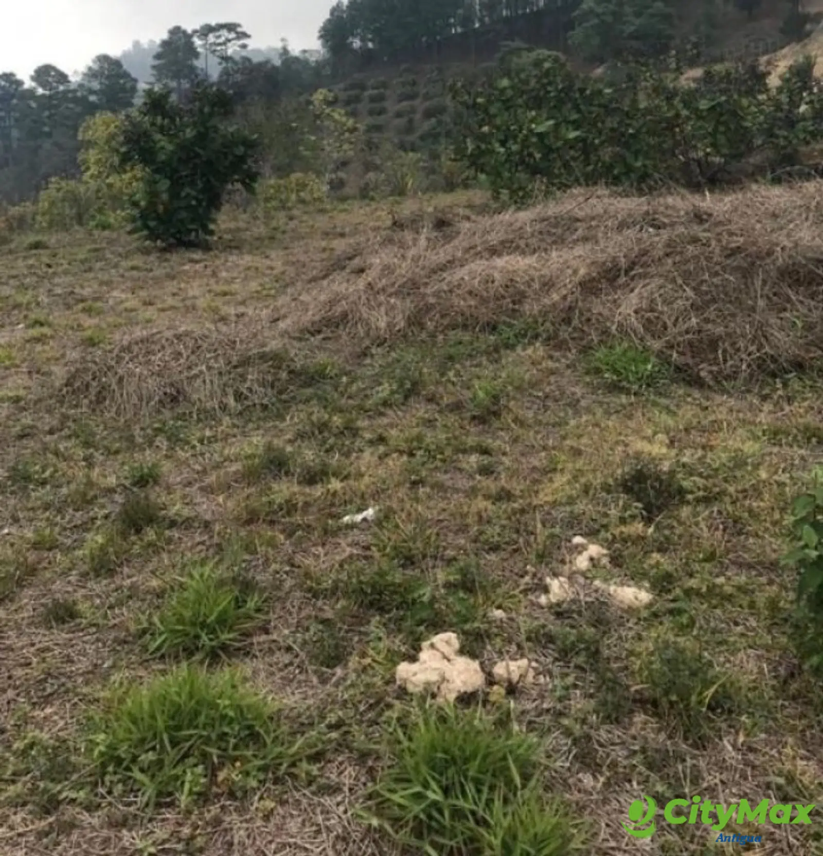 Venta de terreno dentro Residencial Cuilapa Santa Rosa - foto 2